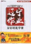 2020年遼寧作業(yè)分層培優(yōu)學(xué)案九年級化學(xué)下冊人教版答案