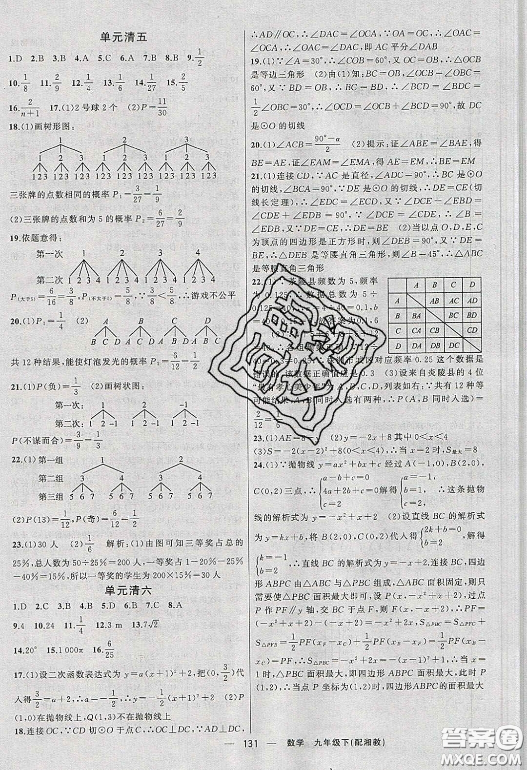 2020年四清導航九年級數(shù)學下冊湘教版答案