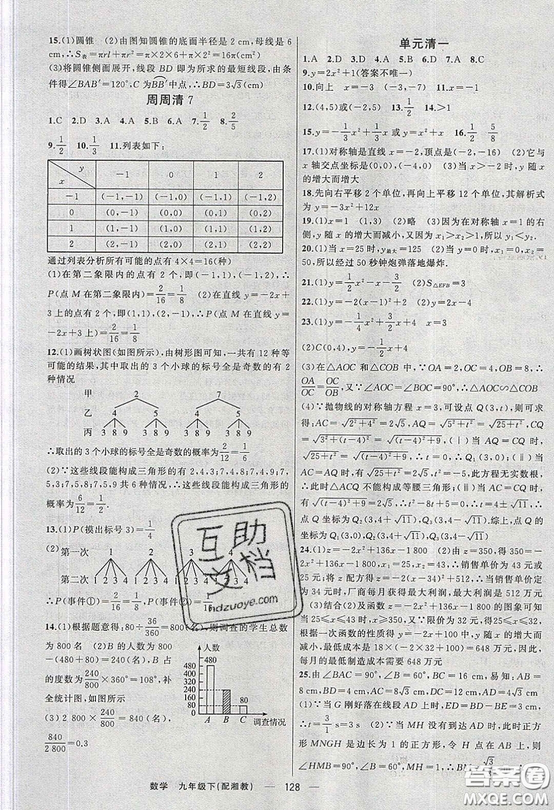 2020年四清導航九年級數(shù)學下冊湘教版答案