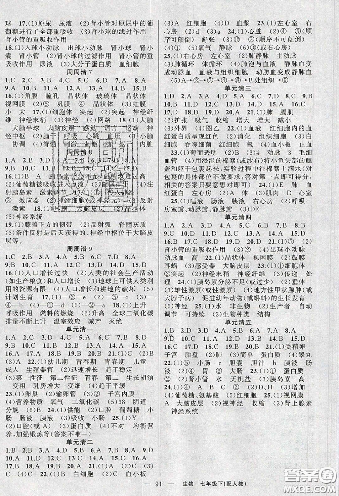 獵豹圖書2020年四清導(dǎo)航七年級生物下冊人教版答案