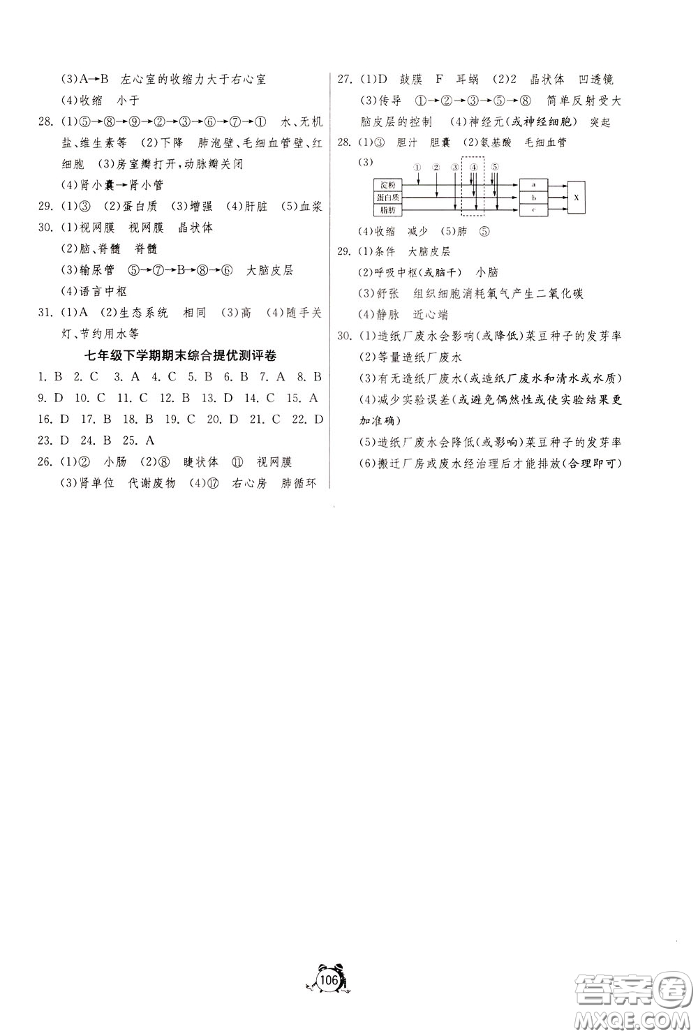 2020年單元雙測全程提優(yōu)測評卷生物學七年級下冊RMJY人民教育版參考答案