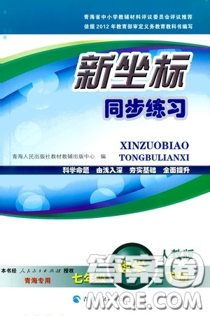 2020年新坐標(biāo)同步練習(xí)數(shù)學(xué)七年級(jí)下冊(cè)人教版參考答案