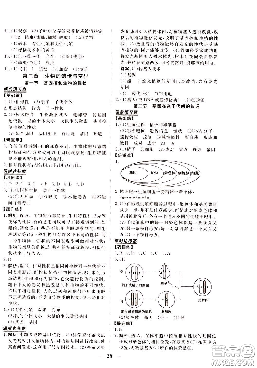 2020年新坐標(biāo)同步練習(xí)生物八年級(jí)下冊(cè)人教版參考答案