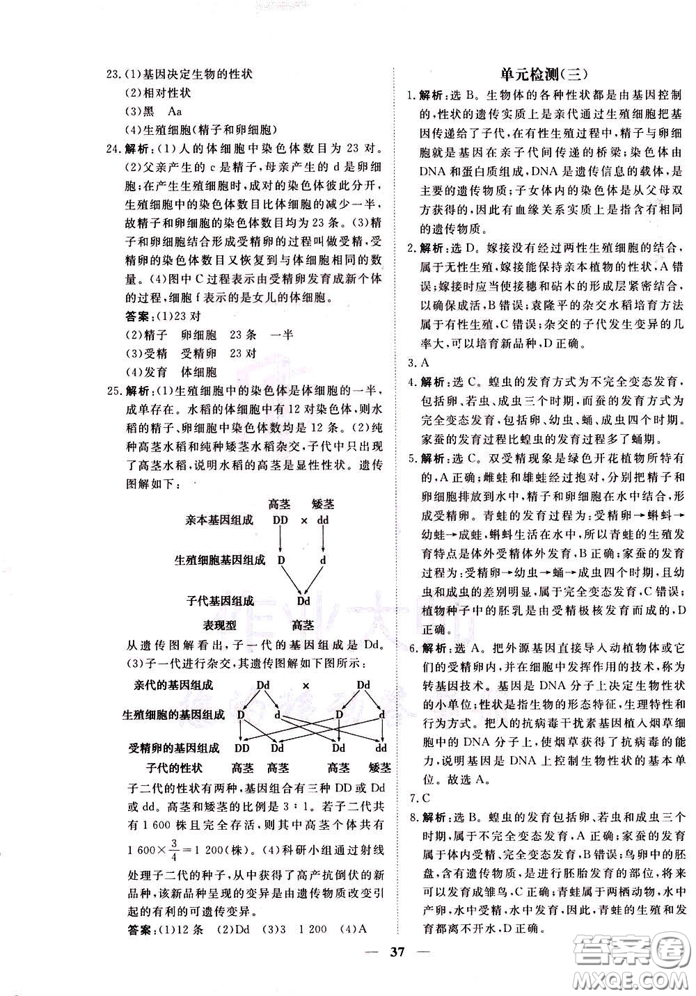 2020年新坐標(biāo)同步練習(xí)生物八年級(jí)下冊(cè)人教版參考答案