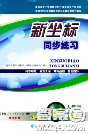 2020年新坐標(biāo)同步練習(xí)化學(xué)九年級(jí)下冊(cè)人教版參考答案