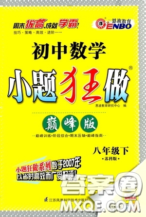 2020年初中數(shù)學(xué)小題狂做巔峰版八年級(jí)下冊(cè)蘇科版參考答案