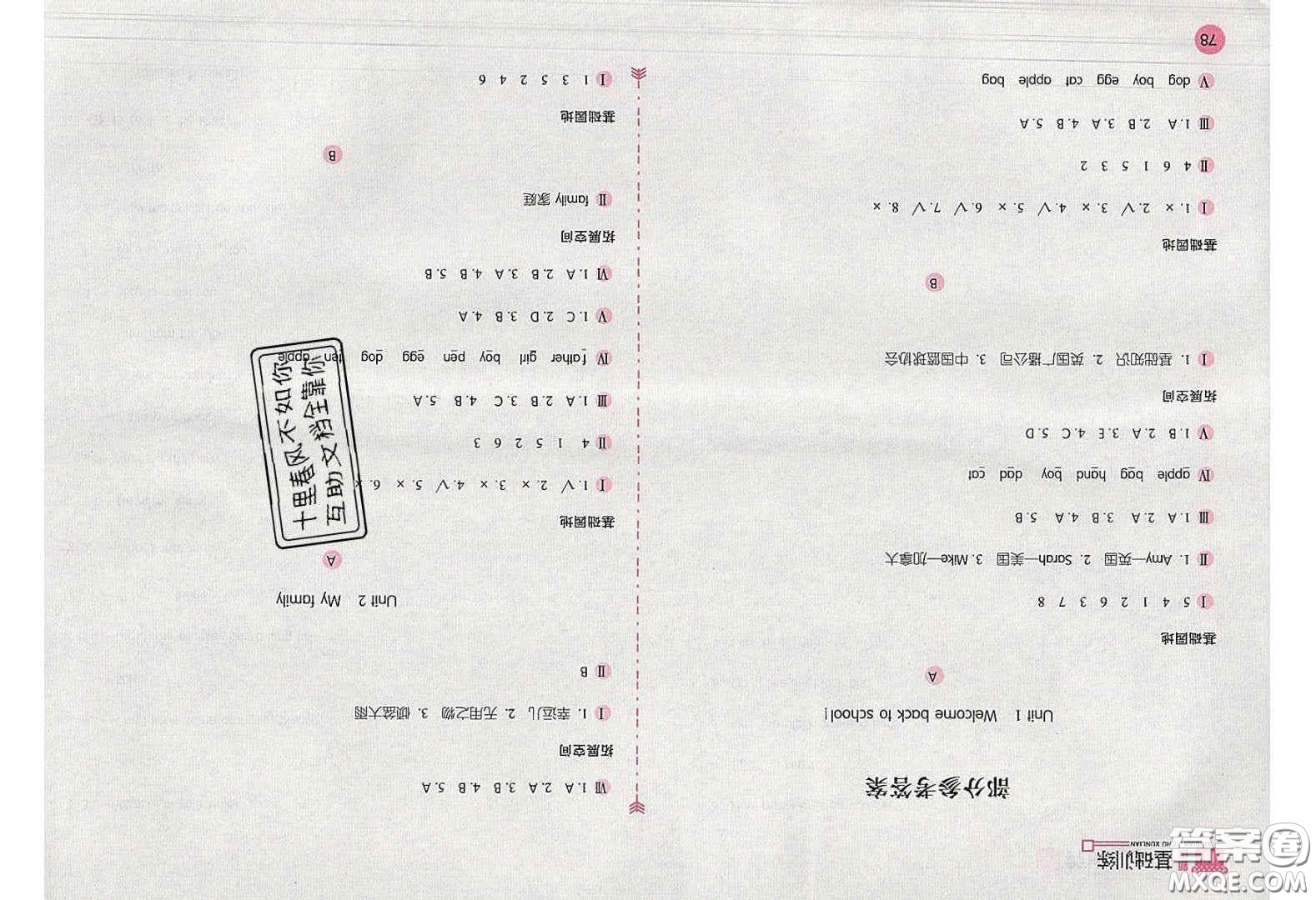 2020年新編基礎(chǔ)訓(xùn)練三年級(jí)英語下冊(cè)人教版答案