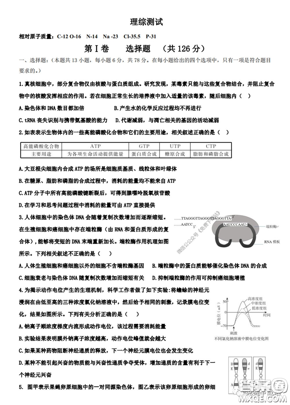 衡水中學2020年高三下學期第七次調研考試理科綜合試題及答案