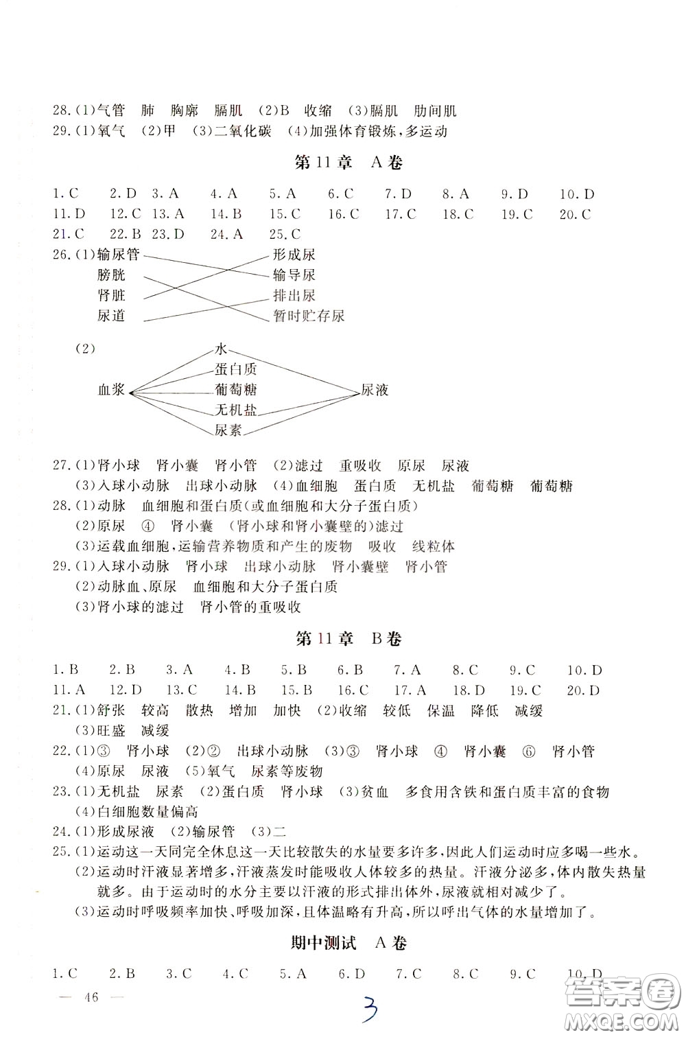 2020年新課堂AB卷單元測試生物學七年級下冊河北教育版參考答案