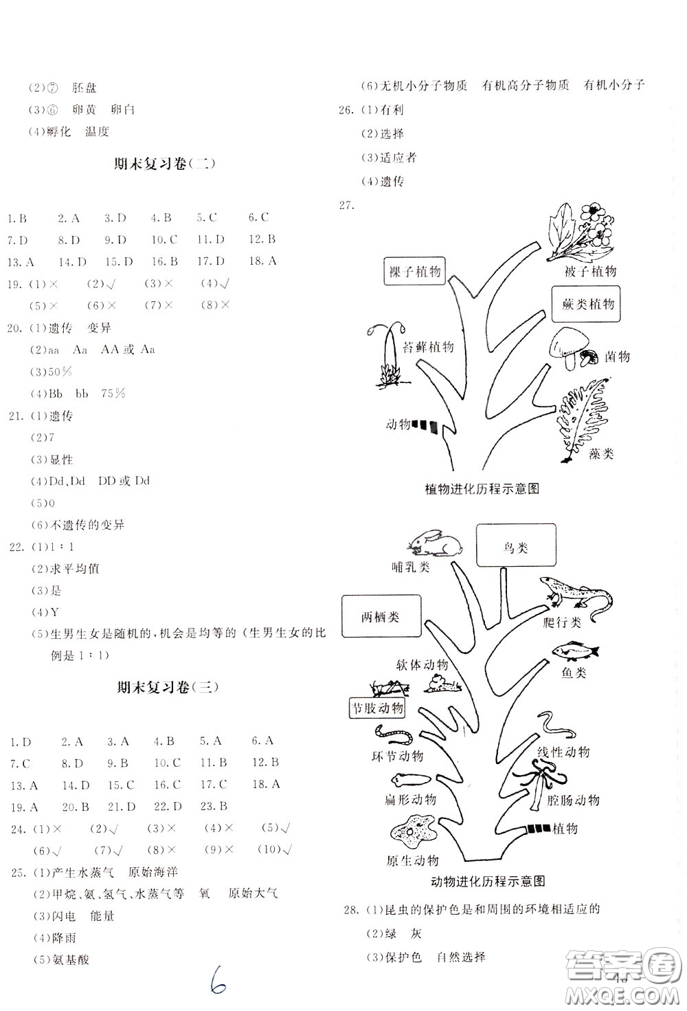 2020年新課堂AB卷單元測生物學(xué)八年級下冊人民教育版參考答案