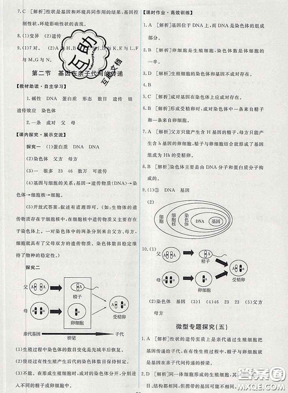 2020春能力培養(yǎng)與測試八年級(jí)生物下冊(cè)人教版答案