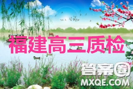 2020年福建省高三畢業(yè)班質量檢查測試理科數(shù)學試題及答案