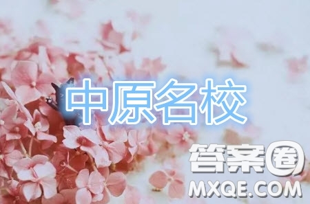 中原名校2019-2020學(xué)年下期質(zhì)量考評一理科數(shù)學(xué)試題及答案