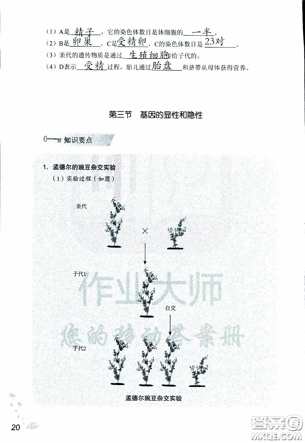 2020年知識(shí)與能力訓(xùn)練八年級下冊生物學(xué)人教版參考答案