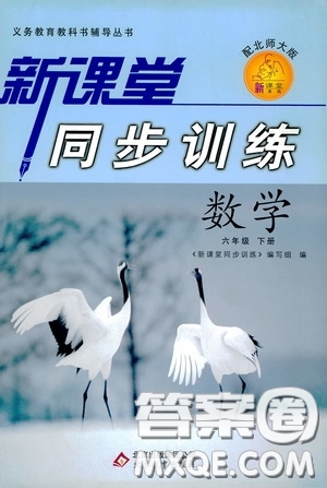 北京教育出版社2020新課堂同步訓練六年級數(shù)學下冊北師大版答案