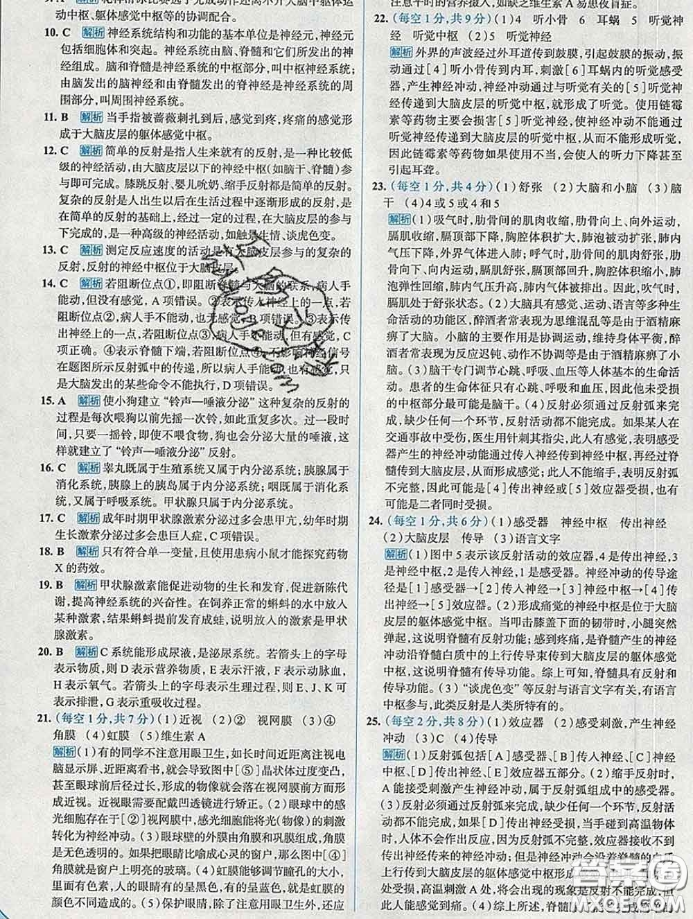 現(xiàn)代教育出版社2020新版走向中考考場七年級生物下冊人教版答案