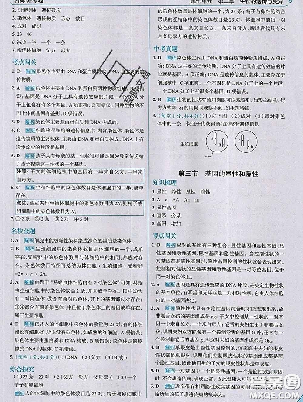 現(xiàn)代教育出版社2020新版走向中考考場(chǎng)八年級(jí)生物下冊(cè)人教版答案