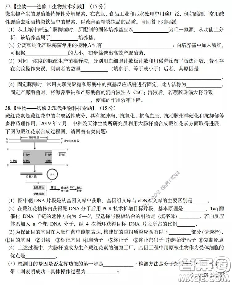 長郡中學2020屆高三理綜訓練七試題及答案