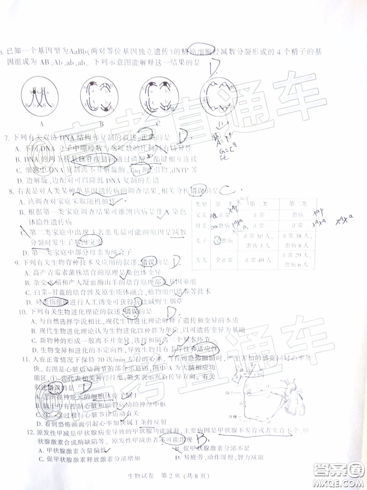 江蘇七市2020屆高三第二次調(diào)研考試生物試題及答案