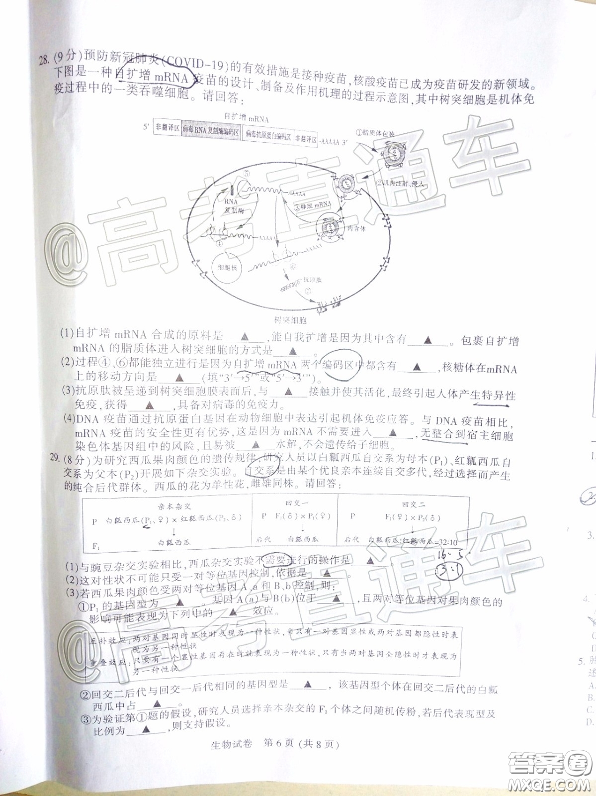 江蘇七市2020屆高三第二次調(diào)研考試生物試題及答案