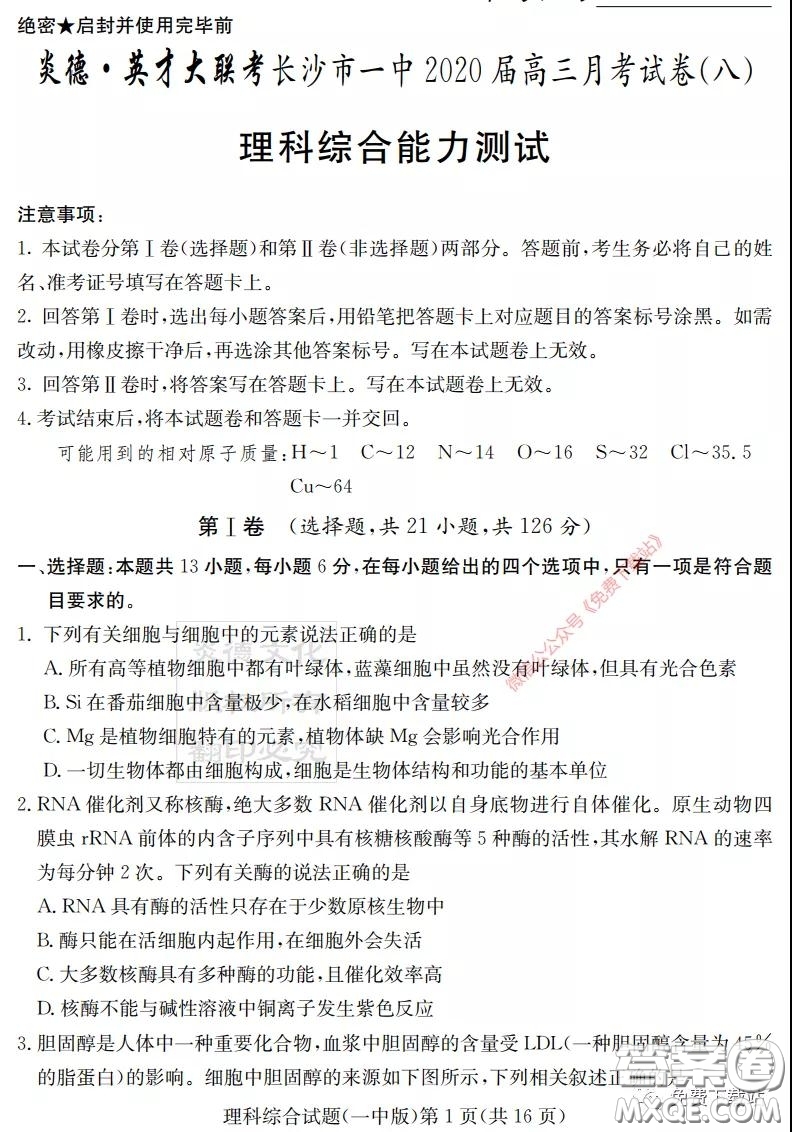 炎德英才大聯(lián)考長沙市一中2020屆高三月考試卷八理科綜合答案