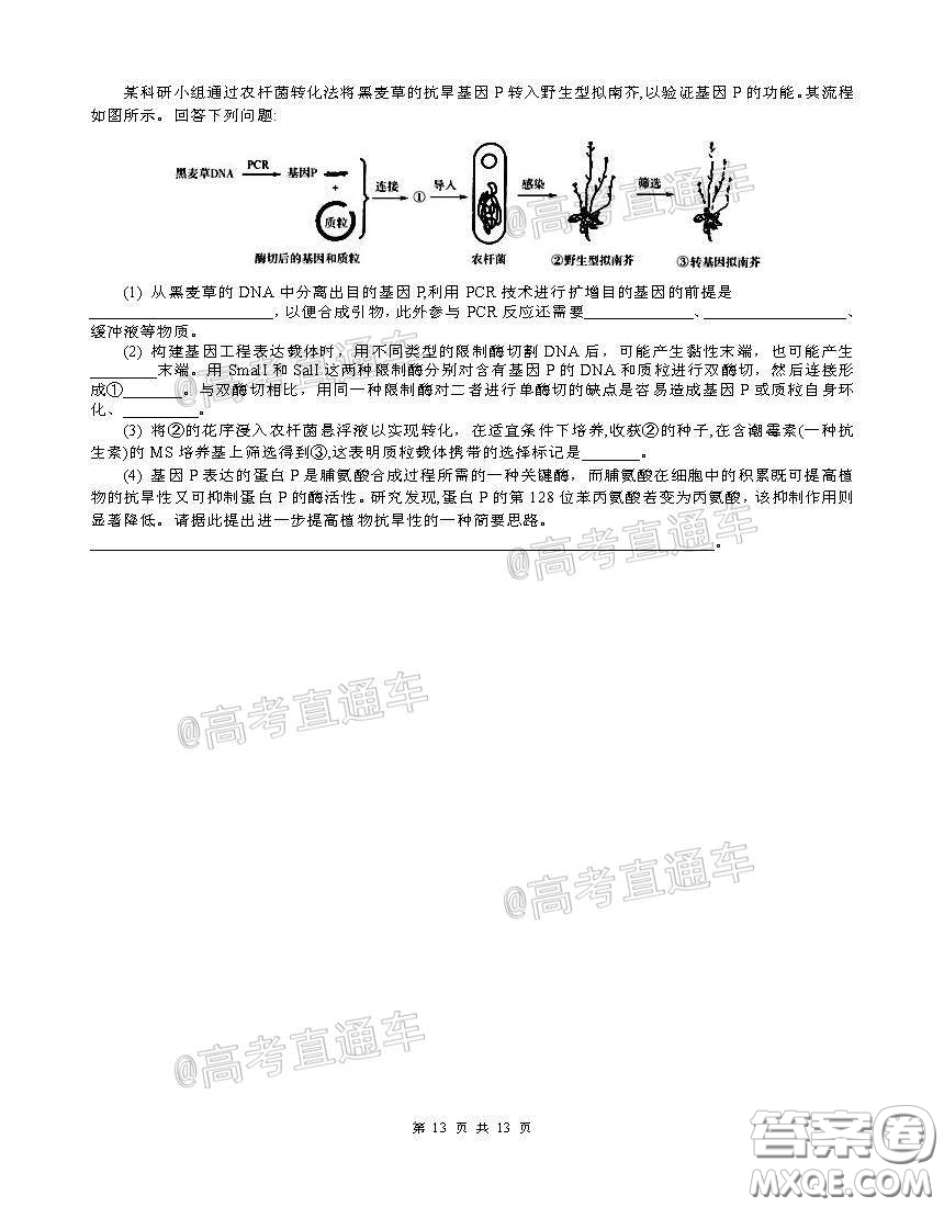 柳州高級中學2020屆高三4月線上測試理科綜合試題及答案