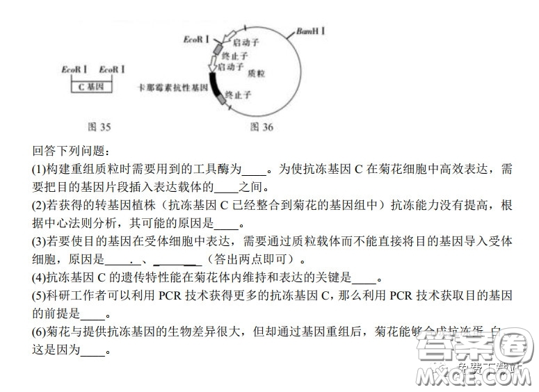 長郡中學(xué)2020屆高三適應(yīng)性考試三理科綜合試題及答案