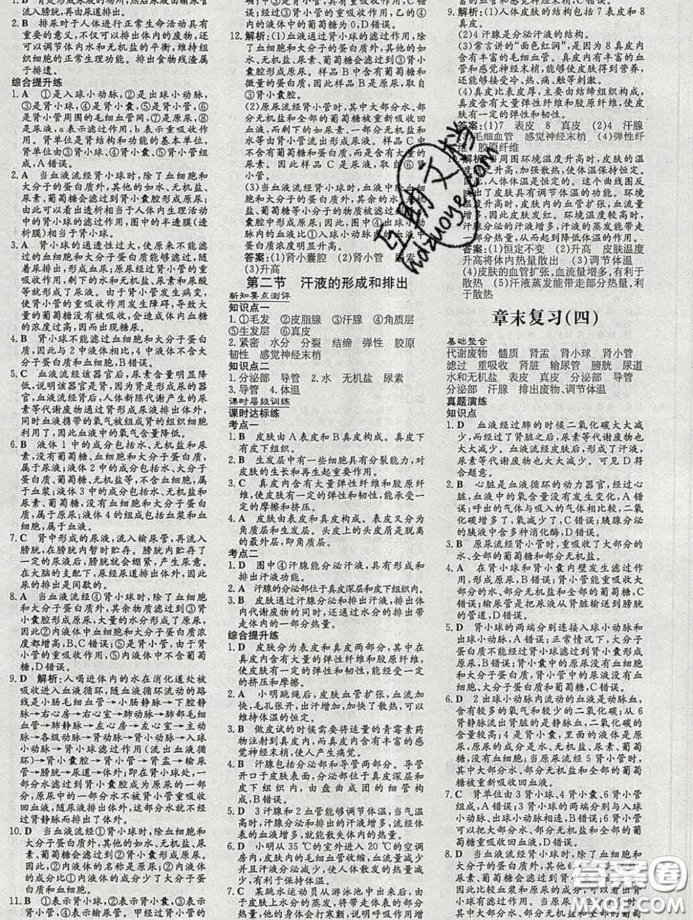 2020新版練案課時作業(yè)本七年級生物下冊濟(jì)南版答案