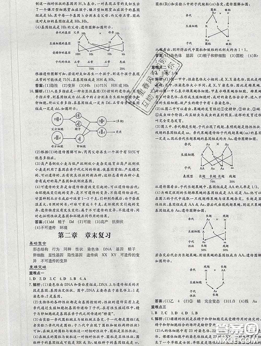 2020新版練案課時(shí)作業(yè)本八年級生物下冊人教版答案