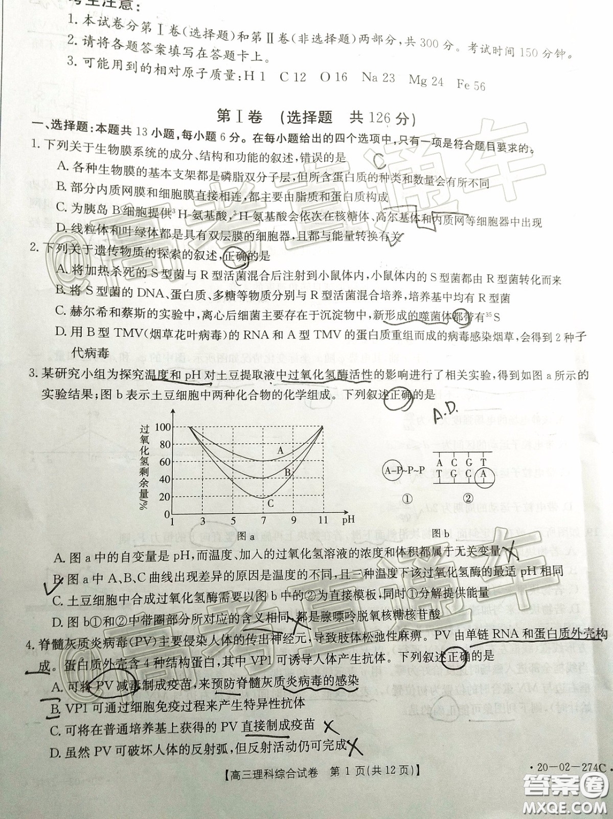 2020年陜西金太陽(yáng)4月聯(lián)考理科綜合試題及答案