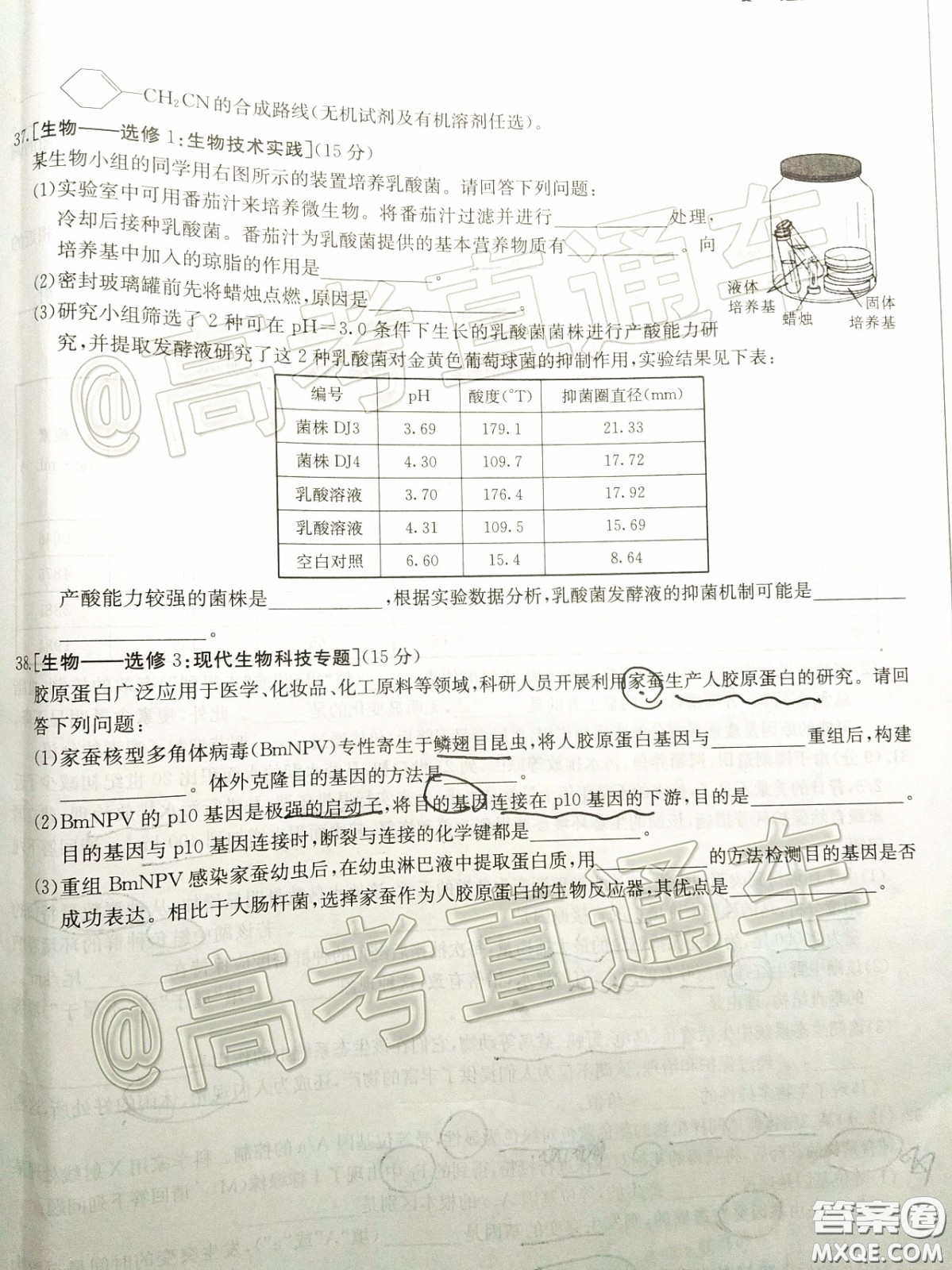 2020年陜西金太陽(yáng)4月聯(lián)考理科綜合試題及答案