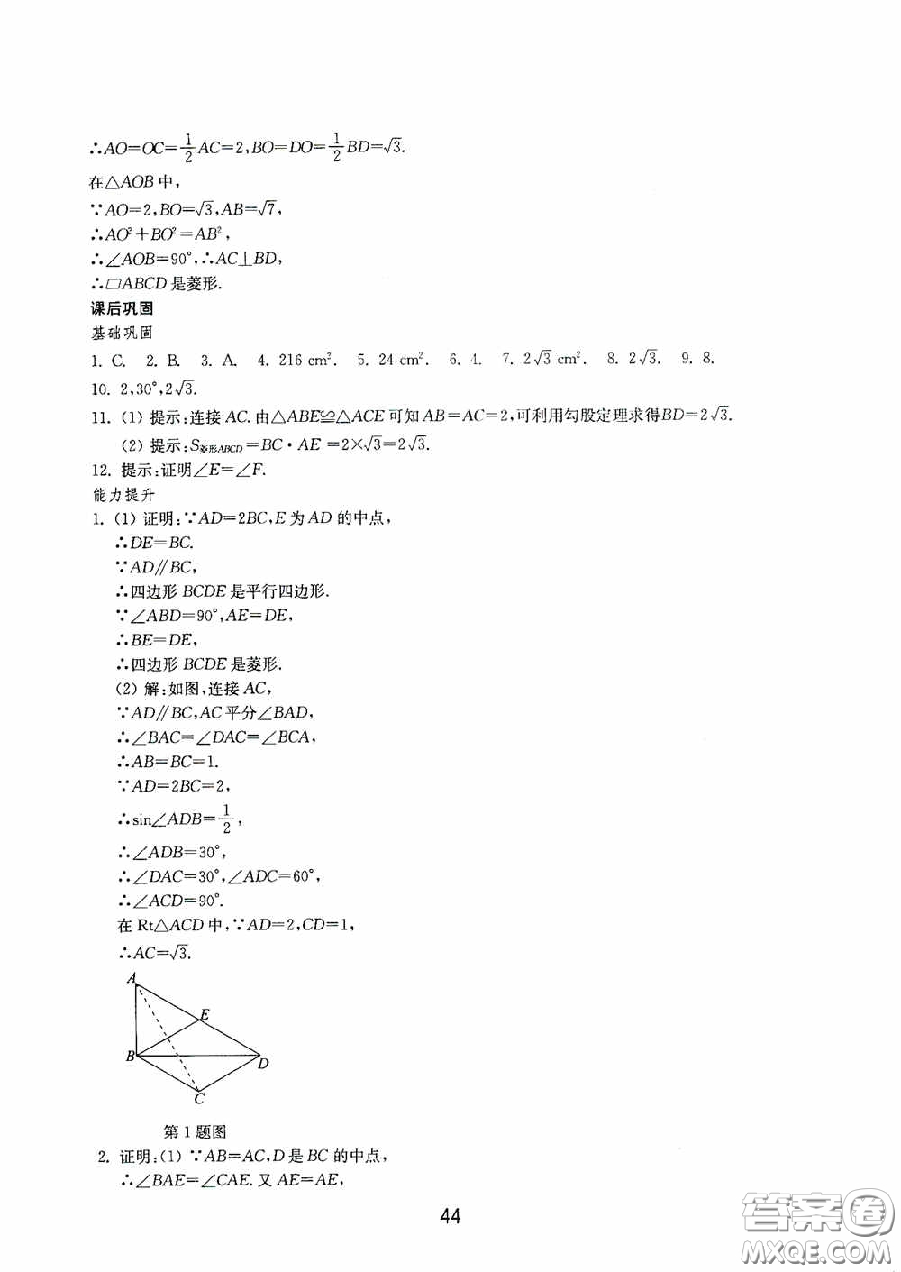 山東教育出版社2020初中基礎(chǔ)訓(xùn)練八年級數(shù)學(xué)下冊54學(xué)制答案