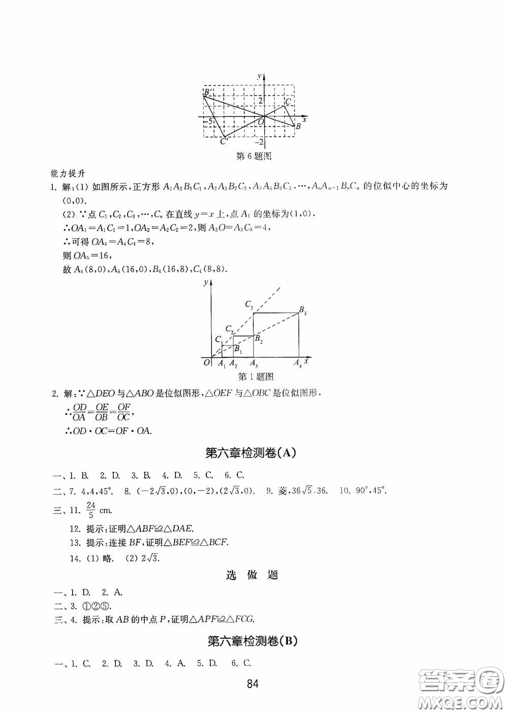 山東教育出版社2020初中基礎(chǔ)訓(xùn)練八年級數(shù)學(xué)下冊54學(xué)制答案