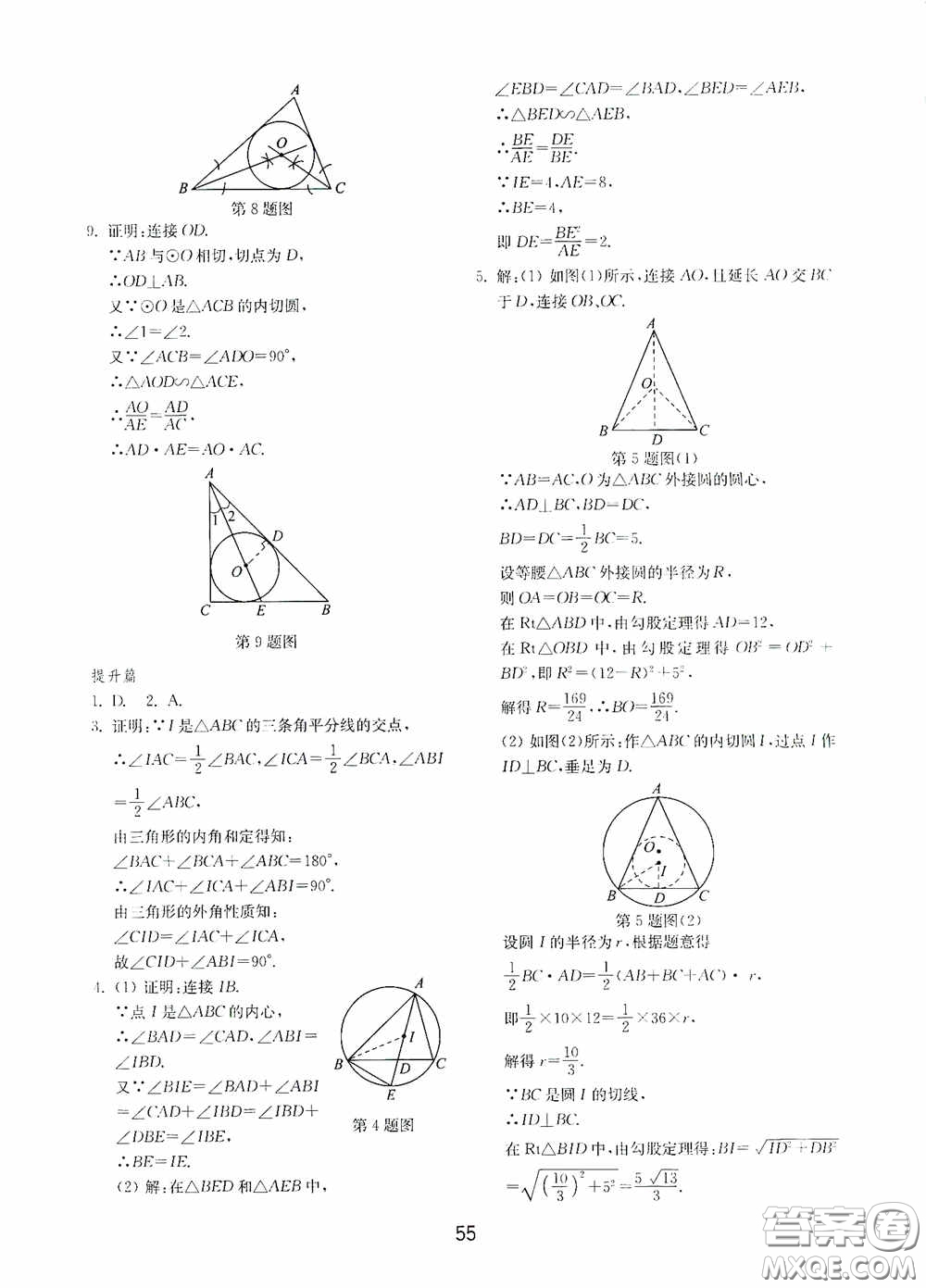 山東教育出版社2020初中基礎(chǔ)訓練九年級數(shù)學下冊54學制答案