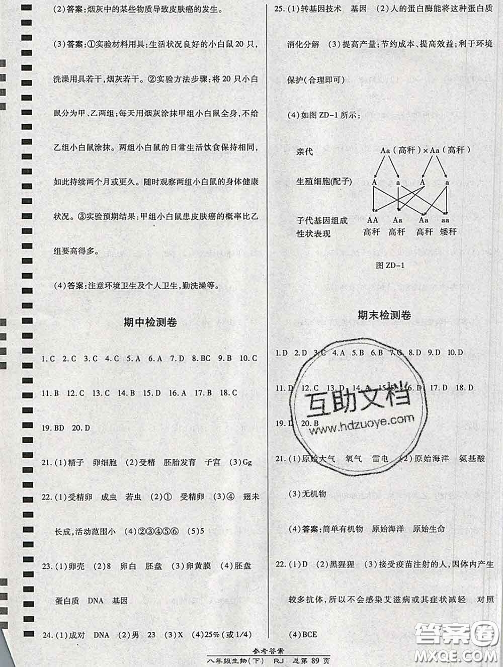 2020春高效課時(shí)通10分鐘掌握課堂八年級(jí)生物下冊人教版參考答案