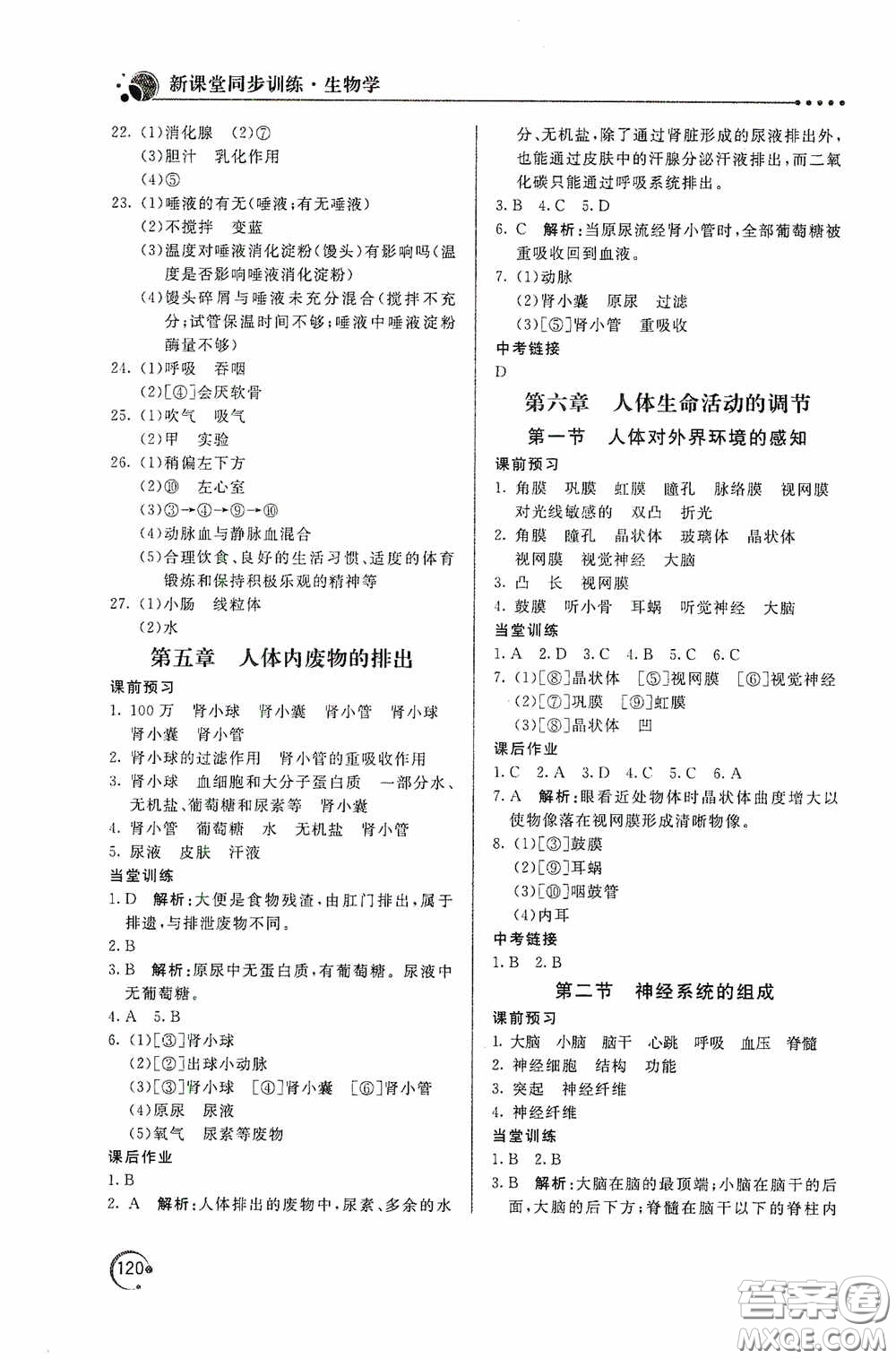 北京教育出版社2020新課堂同步訓(xùn)練七年級生物學(xué)下冊人民教育版答案