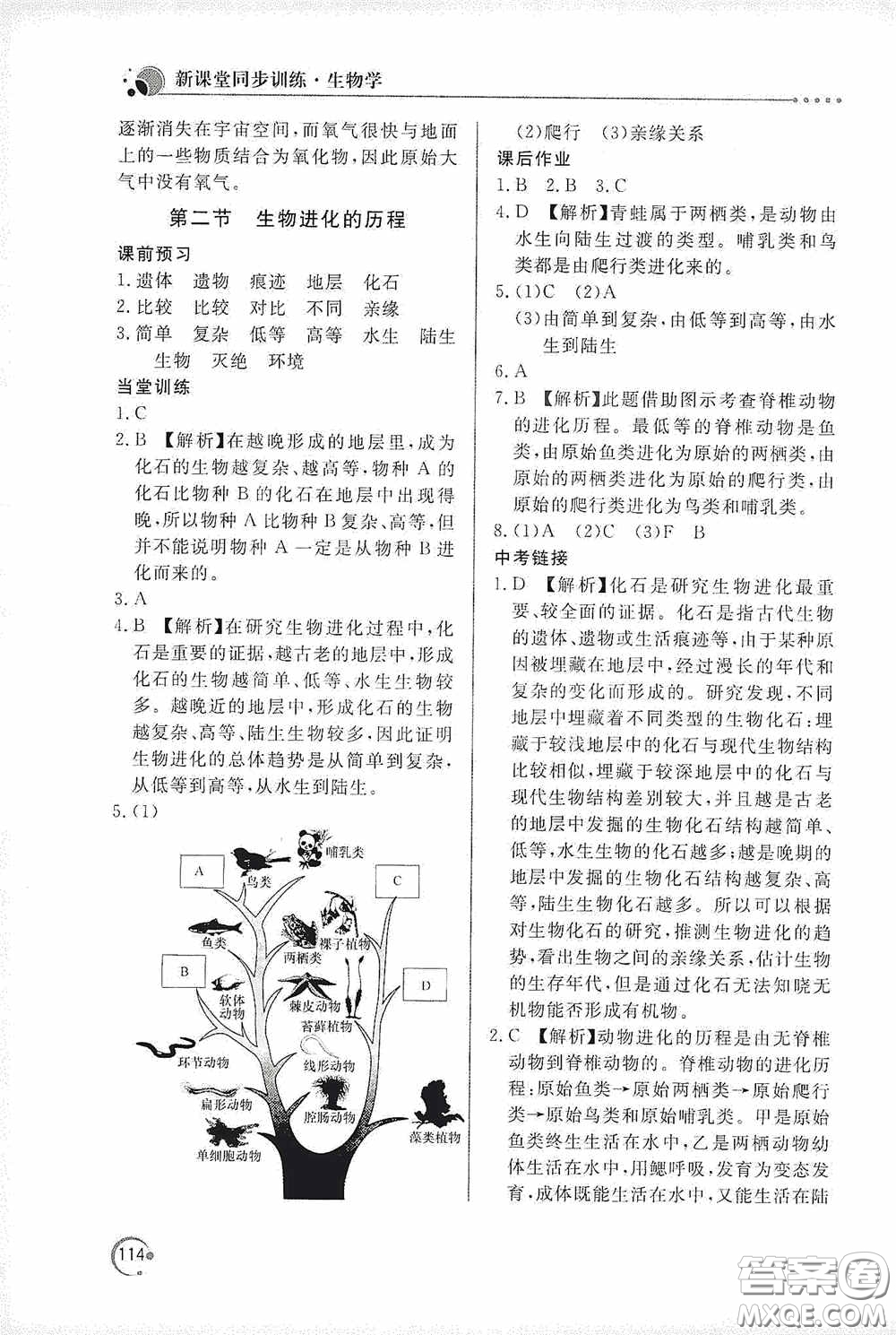 北京教育出版社2020新課堂同步訓(xùn)練八年級(jí)生物學(xué)下冊(cè)人教版答案