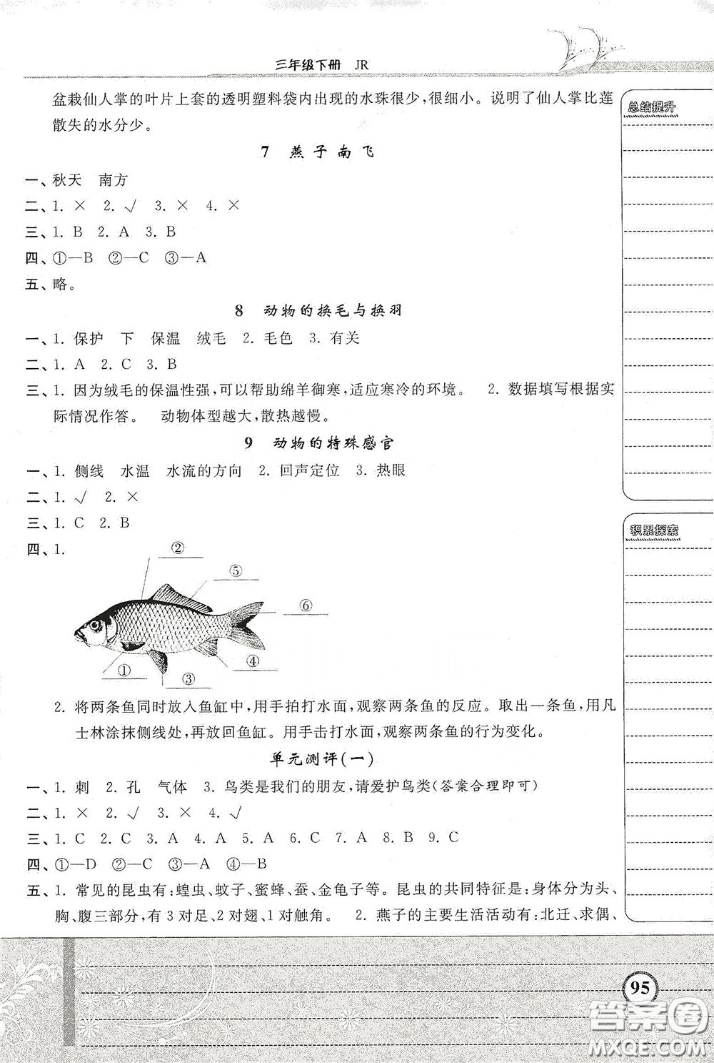 河北美術出版社2020課時練同步測評三年級科學下冊JR版答案