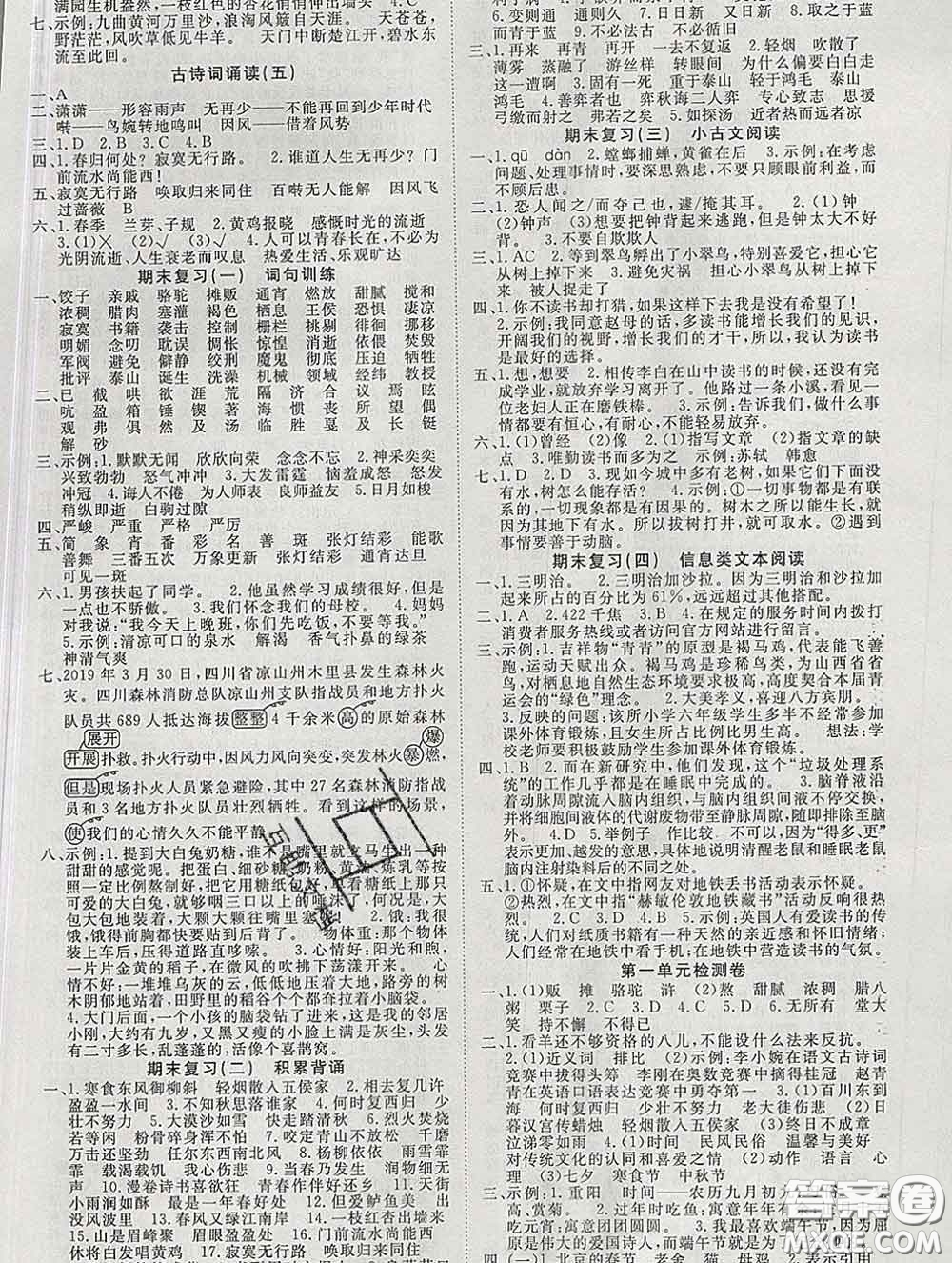 延邊大學(xué)出版社2020新版新領(lǐng)程叢書新領(lǐng)程六年級(jí)語文下冊人教版參考答案