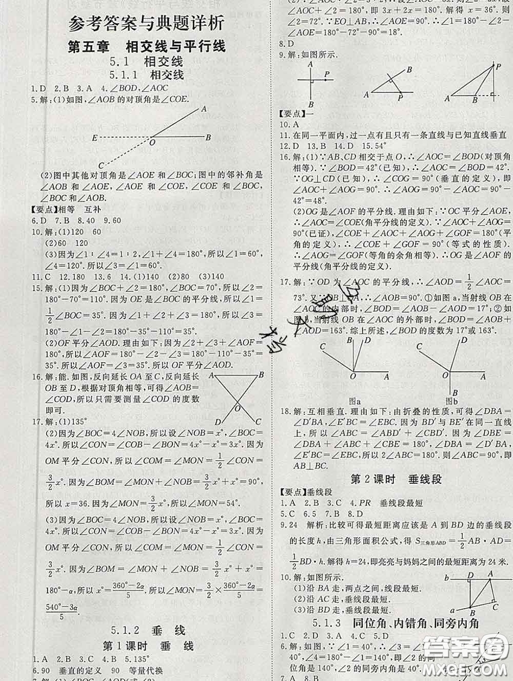 延邊大學(xué)出版社2020新版新領(lǐng)程叢書(shū)新領(lǐng)程七年級(jí)數(shù)學(xué)下冊(cè)人教版參考答案