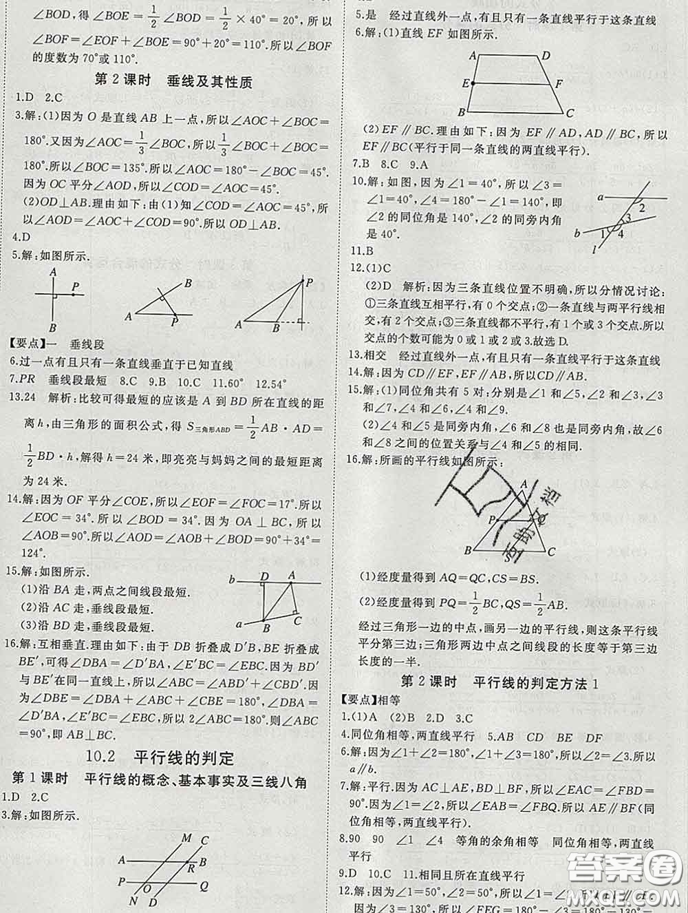 延邊大學出版社2020新版新領(lǐng)程叢書新領(lǐng)程七年級數(shù)學下冊滬科版參考答案