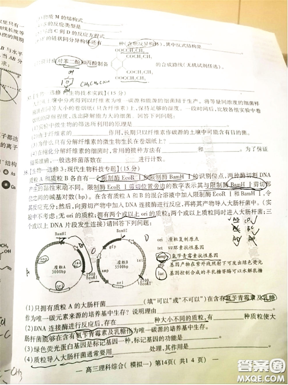 2020年南昌一模理科綜合試題及答案