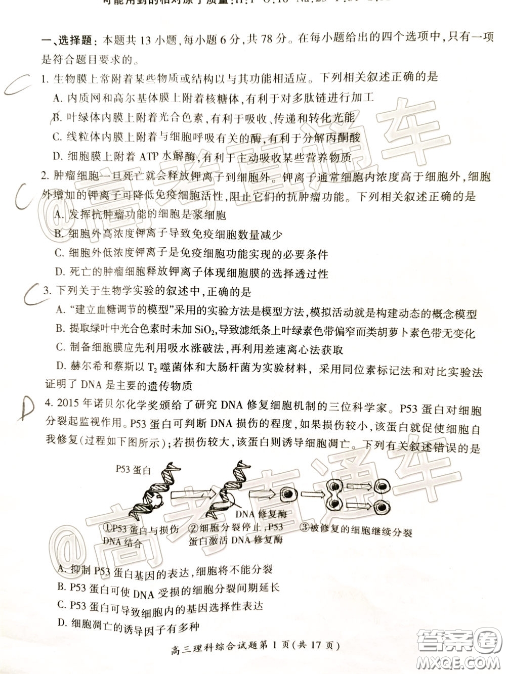 郴州市2020屆高三第二次教學質量監(jiān)測試卷理科綜合試題及答案