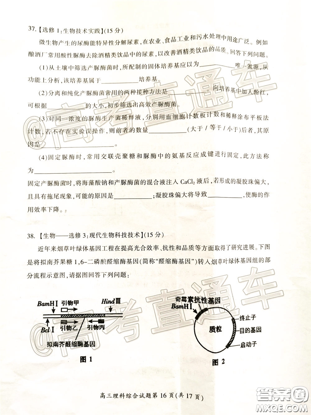 郴州市2020屆高三第二次教學質量監(jiān)測試卷理科綜合試題及答案