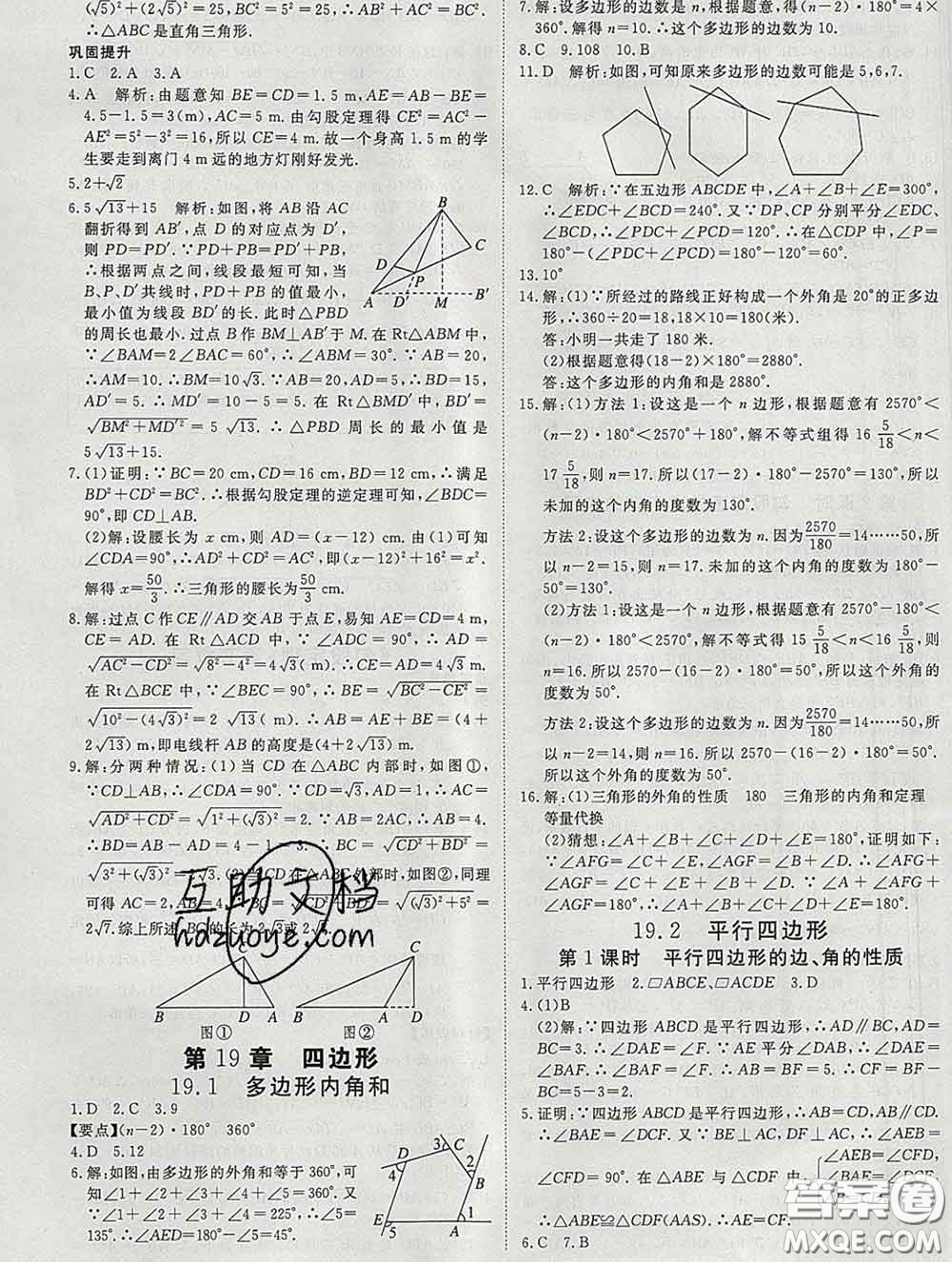 延邊大學(xué)出版社2020新版新領(lǐng)程叢書新領(lǐng)程八年級數(shù)學(xué)下冊滬科版參考答案