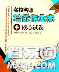 2020新版名校名師培優(yōu)作業(yè)本加核心試卷五年級數(shù)學(xué)下冊人教版答案