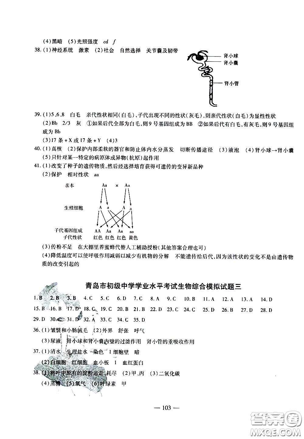 青島出版社2020年中考沖刺模擬卷生物參考答案