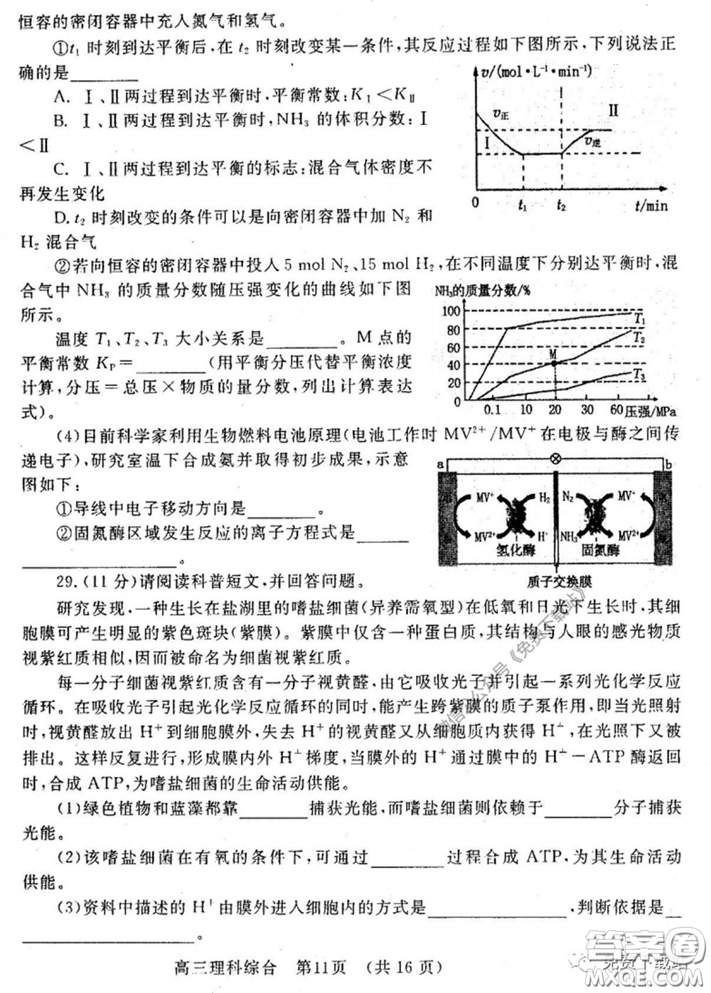 洛陽(yáng)市2019-2020學(xué)年高中三年級(jí)第二次統(tǒng)一考試?yán)砜凭C合試題及答案