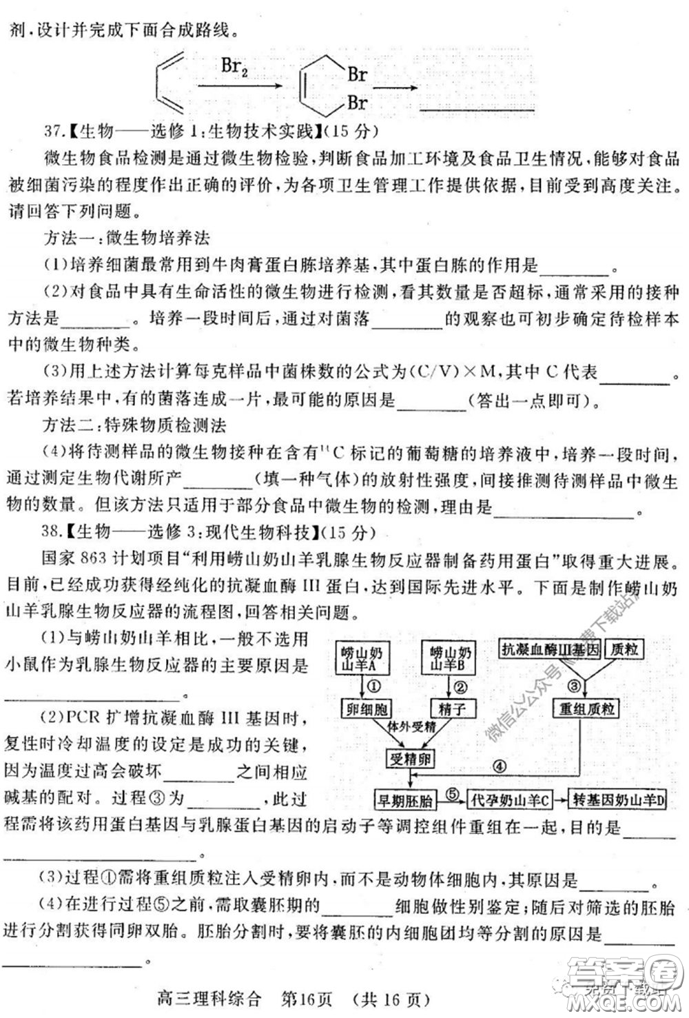 洛陽(yáng)市2019-2020學(xué)年高中三年級(jí)第二次統(tǒng)一考試?yán)砜凭C合試題及答案