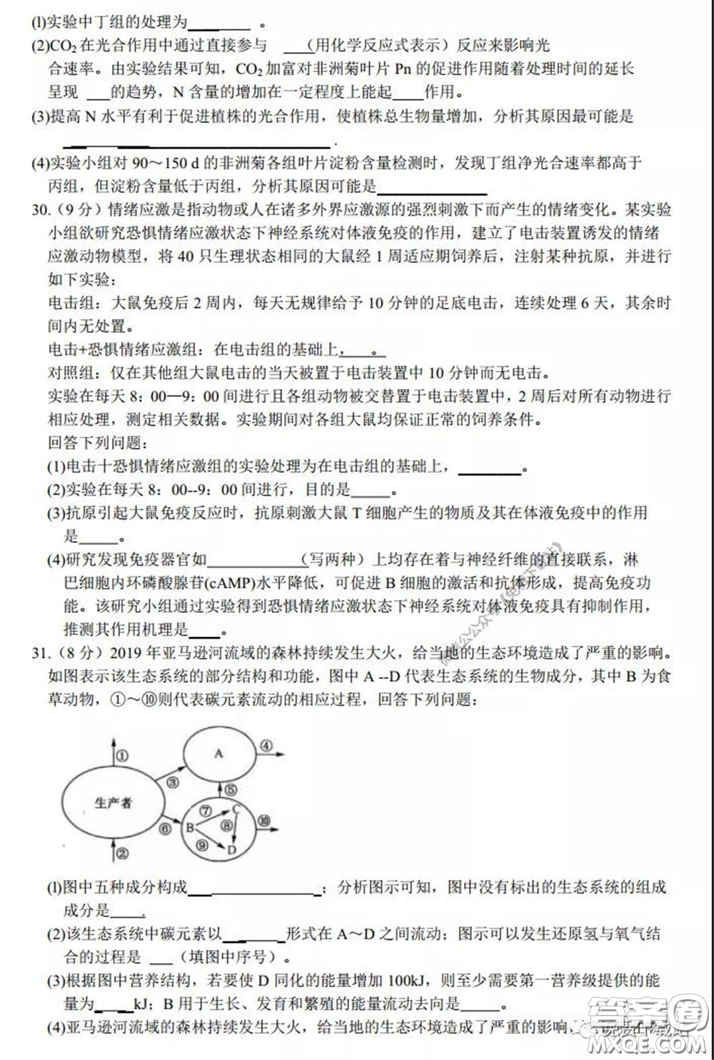 2020年安徽省江南十校綜合素質檢測理科綜合試題及答案